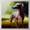 Recherche de chien gris posters Greyhound