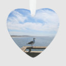 Recherche de mouettes ornements Ciel