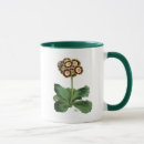 Search for primula mugs Auricula