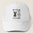 Search for chihuahua dogs baseball hats Pet