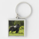 Search for mcdonalds keychains Joe