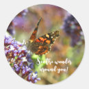 Search for pollinator stickers Butterfly