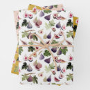 Search for fig wrapping paper Fruit
