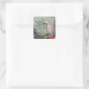 Search for african grey stickers Animals