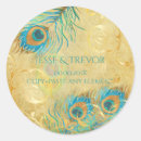 Search for vintage peacock feathers stickers Blue
