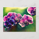 Recherche de orchids cartes postales Printemps