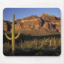 Search for cactus mousepads Foliage