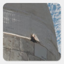 Search for orbital stickers Exterior