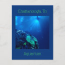 Search for chattanooga postcards Aquarium