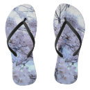 Search for sakura shoes Flowers