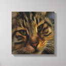 Search for long hair canvas prints Animal