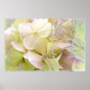 Search for note cards posters Flowers