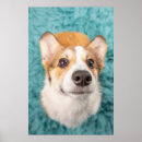 Recherche de cute corgi art Pembroke welsh corgi