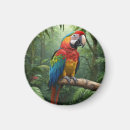 Search for macaws magnets Wildlife