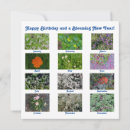 Search for new year birthday cards Celebrate