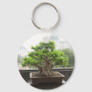 Recherche de bonsaï porteclés Zen