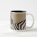Recherche de massai tasses Nature