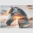 Recherche de chincoteague Été