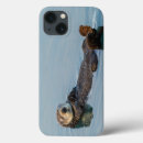 Search for mammal ipad cases Danita delimont