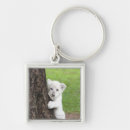 Search for 3 lions keychains Outdoors