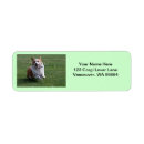 Search for corgi return address labels Canine