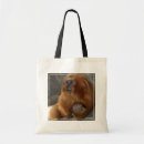 Recherche de singe de fille sacs Primates