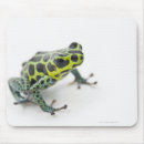 Search for poisonous mousepads Animal