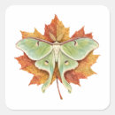 Search for moth stickers Watercolor