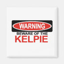Search for kelpy Pup