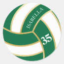 Search for volleyball stickers Player