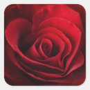 Search for aroma stickers Bloom