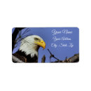 Search for bald eagle return address labels Birding