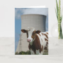 Recherche de laitier vœux cartes Brun