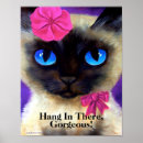 Search for hang in there cat posters Cute