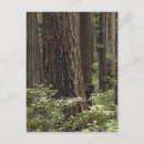 Recherche de prairie cartes postales Environnement