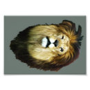 Recherche de roi lion posters Faune