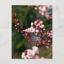 Search for pink background postcards Modern