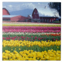 Search for display tiles Usa