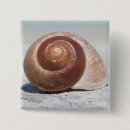 Recherche de coquillages badges Côte