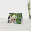 Recherche de faune et flore vœux cartes Floral