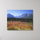Search for daytime art Botany