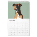 Search for boxer dog calendars Dogs