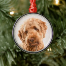 Search for mixed breed dog ornaments Puppy
