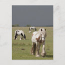 Recherche de agriculture cartes invitations Extérieur