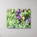 Search for bumble bee canvas prints Bees