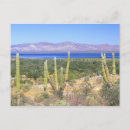 Recherche de le mexique cartes postales Environnement