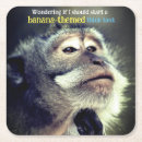 Search for monkeys coasters Wildlife