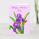 Search for iris flower cards Flowers