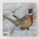 Recherche de faisan horloges Chasse