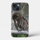 Search for owl iphone cases wildlife